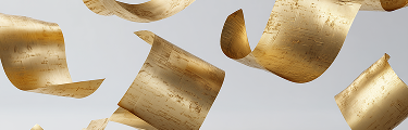 baner
