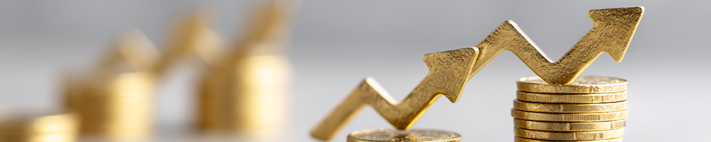 baner